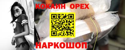 стафф Кингисепп