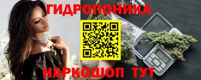 стафф Кингисепп