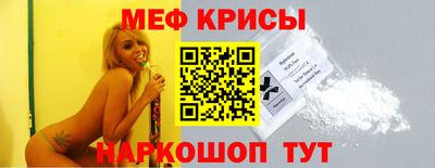 стафф Кингисепп