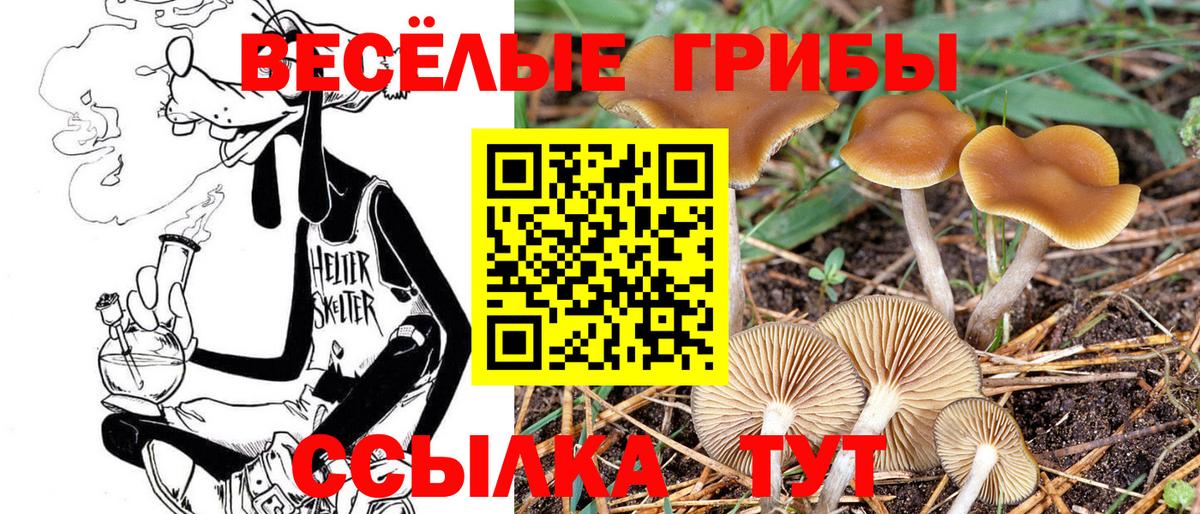 Псилоцибиновые грибы MAGIC MUSHROOMS Кирово-Чепецк