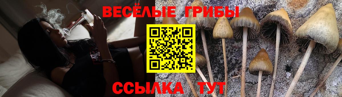 Кирово-Чепецк  Псилоцибиновые грибы Psilocybine cubensis  Вход с VPN 
